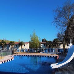 Отель Whanganui River Top 10 Holiday Park бассейн фото 2