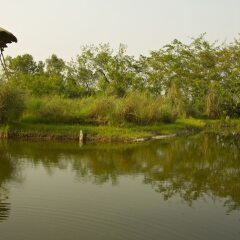Отель Maruni Sanctuary by KGH Group Непал, Саураха - отзывы, цены и фото номеров - забронировать отель Maruni Sanctuary by KGH Group онлайн фото 15