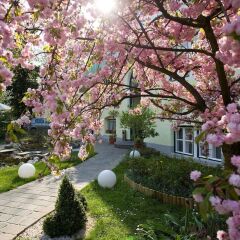 Отель ROSENVILLA Зальцбург фото 8
