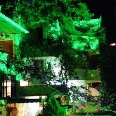 Pataros Hotel Турция, Патара - отзывы, цены и фото номеров - забронировать отель Pataros Hotel онлайн фото 7