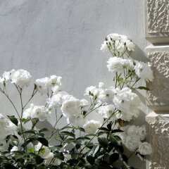 Отель Villa Barberina Италия, Вальдоббьадене - отзывы, цены и фото номеров - забронировать отель Villa Barberina онлайн помещение для мероприятий