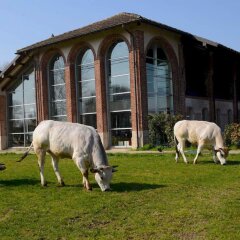 Отель Agriturismo Cascina Caremma Бесате с домашними животными