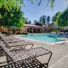 Отель Rowland Heights Herly Apartment США, Роленд-Хайтс - отзывы, цены и фото номеров - забронировать отель Rowland Heights Herly Apartment онлайн бассейн