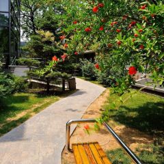 Отель Days Inn Forbidden City Beijing Китай, Пекин - отзывы, цены и фото номеров - забронировать отель Days Inn Forbidden City Beijing онлайн фото 10