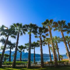 Fortezza Beach Resort Турция, Мармарис - отзывы, цены и фото номеров - забронировать отель Fortezza Beach Resort онлайн пляж