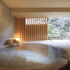 Отель Hakone Pax Yoshino бассейн фото 3