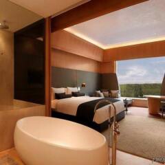 Отель The Roseate New Delhi интерьер отеля фото 2