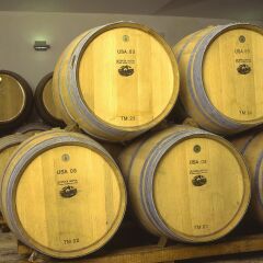 Отель Quinta Nova de Nossa Senhora do Carmo - Luxury Winery House развлечения