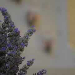 Отель Alacati Alanur Otel Чешме фото 2