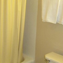 Отель Swiss Cottage Inn США, Ниагара-Фолс - 1 отзыв об отеле, цены и фото номеров - забронировать отель Swiss Cottage Inn онлайн ванная фото 2
