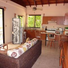 Отель Villas Pico Bonito комната для гостей фото 4