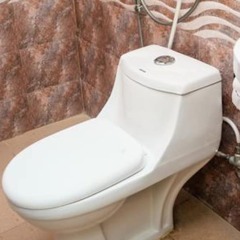 Отель Grace Guest House Непал, Лалитпур - отзывы, цены и фото номеров - забронировать отель Grace Guest House онлайн ванная фото 2