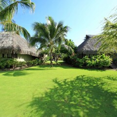 Отель Hilton Moorea Lagoon Resort and Spa Французская Полинезия, Муреа - отзывы, цены и фото номеров - забронировать отель Hilton Moorea Lagoon Resort and Spa онлайн фото 3