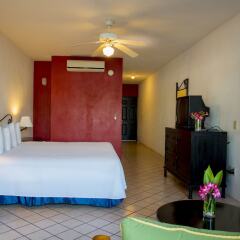 Отель Raintrees Villa Vera Puerto Vallarta комната для гостей фото 4