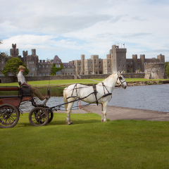Отель Ashford Castle фото 5