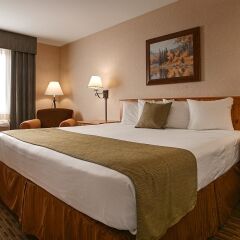Отель BEST WESTERN Holiday Hills США, Пеоа - отзывы, цены и фото номеров - забронировать отель BEST WESTERN Holiday Hills онлайн комната для гостей фото 2