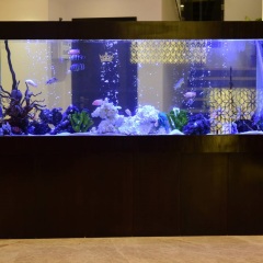 Отель The Flora Grand Гоа интерьер отеля