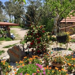 Отель B&B Miramare Аджерола фото 8