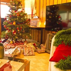 Отель Eagles Nest Vacation Home Rental Канада, Аптаун - отзывы, цены и фото номеров - забронировать отель Eagles Nest Vacation Home Rental онлайн развлечения