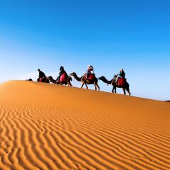 Отель Sahara Royal Camp Марокко, Мерзуга - отзывы, цены и фото номеров - забронировать отель Sahara Royal Camp онлайн спортивное сооружение