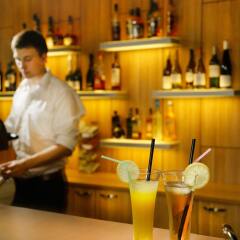 Green Vilnius Hotel Вильнюс гостиничный бар