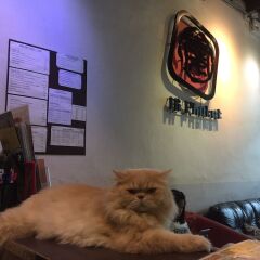 Ai Phuket Hostel с домашними животными