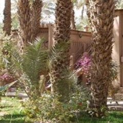 Отель Riad Lamane Марокко, Загора - отзывы, цены и фото номеров - забронировать отель Riad Lamane онлайн фото 13