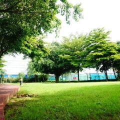 Отель Waterford Condominium Sukhumvit 50 Бангкок фото 15