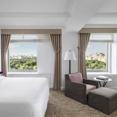 Отель Ritz-Carlton New York Central Park США, Нью-Йорк - отзывы, цены и фото номеров - забронировать отель Ritz-Carlton New York Central Park онлайн комната для гостей фото 4