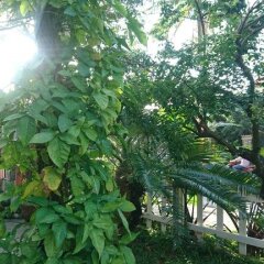 Отель Gia Bao Phat Homestay фото 19