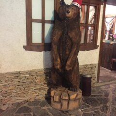 Отель Guesthouse Diltsvet Боровец с домашними животными