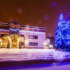 Sosnovy Bor Park-Hotel фото 15