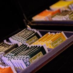 Amsterdam Forest Hotel развлечения