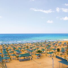 Paloma Oceana Resort Турция, Сиде - 1 отзыв об отеле, цены и фото номеров - забронировать отель Paloma Oceana Resort онлайн фото 11