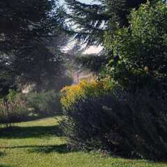 Отель Aparthotel Biosostenible JardÍn Del RÍo Cuervo Трагасете фото 10