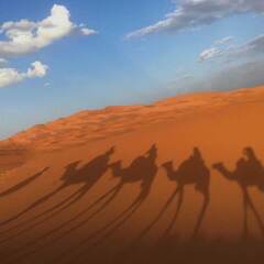Отель Merzouga Desert Overnight Марокко, Мерзуга - отзывы, цены и фото номеров - забронировать отель Merzouga Desert Overnight онлайн приотельная территория