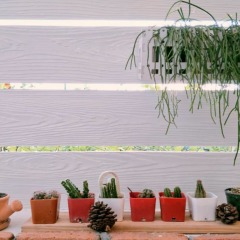 Отель Little Latte House