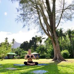 Отель Marks Place Moorea Французская Полинезия, Муреа - отзывы, цены и фото номеров - забронировать отель Marks Place Moorea онлайн фитнесс-зал