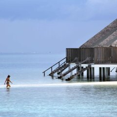 Отель Gangehi Island Resort бассейн фото 3