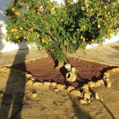 Отель Cortijo Santa Clara фото 17
