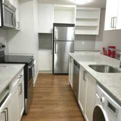 Отель Executive Suites in Burnaby Lake Канада, Бурнаби - отзывы, цены и фото номеров - забронировать отель Executive Suites in Burnaby Lake онлайн в номере фото 2