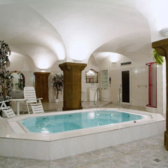 Отель Best Western Plus Hotel Meteor Plaza Чехия, Прага - 6 отзывов об отеле, цены и фото номеров - забронировать отель Best Western Plus Hotel Meteor Plaza онлайн бассейн фото 3