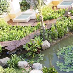 Отель Movenpick Resort & Spa Karon Beach Phuket Таиланд, Пхукет - 4 отзыва об отеле, цены и фото номеров - забронировать отель Movenpick Resort & Spa Karon Beach Phuket онлайн фитнесс-зал фото 2