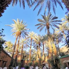 Отель Riad Dar Sofian Марокко, Загора - отзывы, цены и фото номеров - забронировать отель Riad Dar Sofian онлайн фото 15