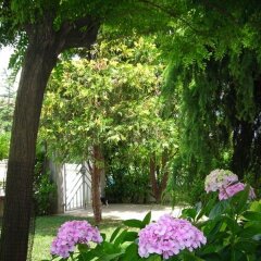 Отель La Collina Di Abbadia Озимо
