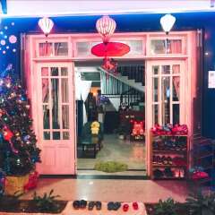Отель Hai Cay Thong Homestay - Hostel Вьетнам, Далат - отзывы, цены и фото номеров - забронировать отель Hai Cay Thong Homestay - Hostel онлайн фото 3