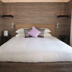 Отель Radisson Blu 1835 Hotel & Thalasso, Cannes Франция, Канны - 2 отзыва об отеле, цены и фото номеров - забронировать отель Radisson Blu 1835 Hotel & Thalasso, Cannes онлайн фото 3