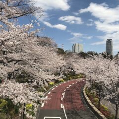 APA Hotel Roppongi-Ichome Ekimae пляж