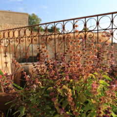 Anitya Cave House Турция, Ургуп - отзывы, цены и фото номеров - забронировать отель Anitya Cave House онлайн балкон