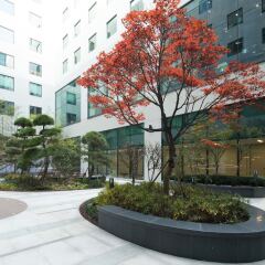 Orakai Cheonggyesan Hotel фото 5